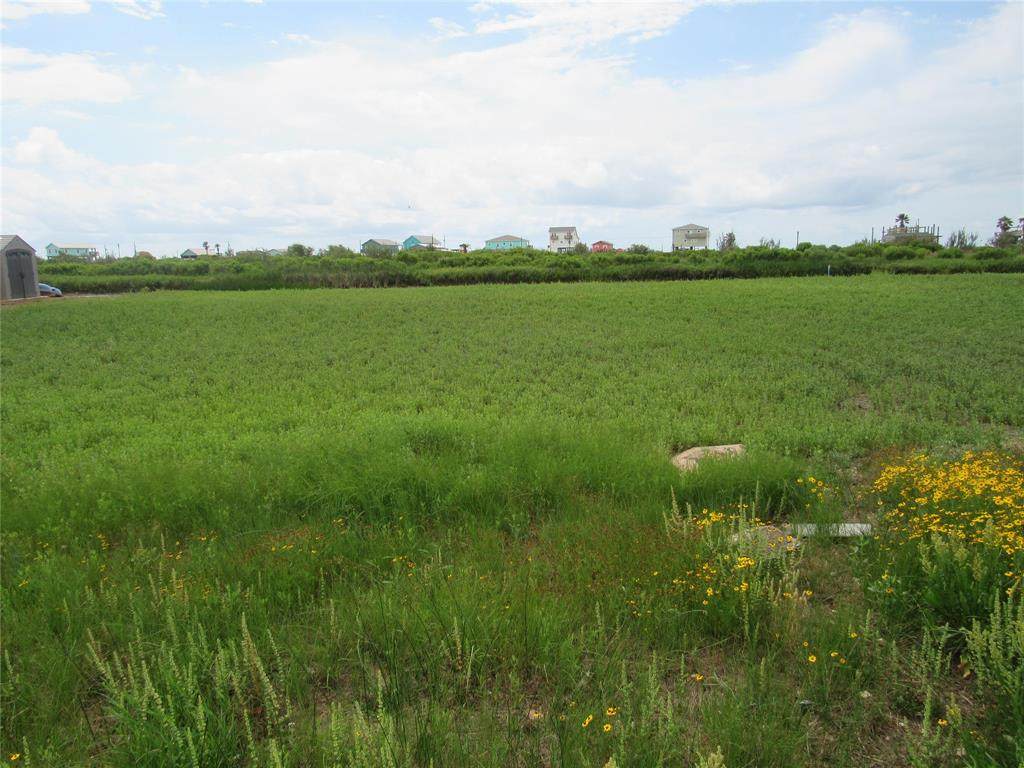 42 County Road 204 Dolphin Way - Photo 1