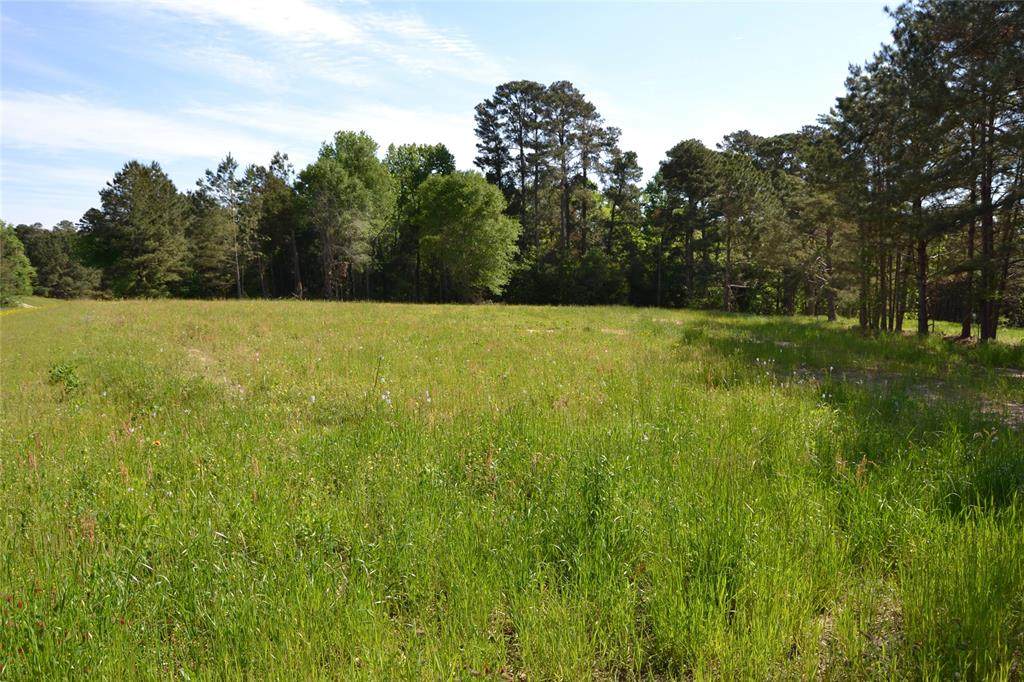 TBD Fm 229 - Photo 1