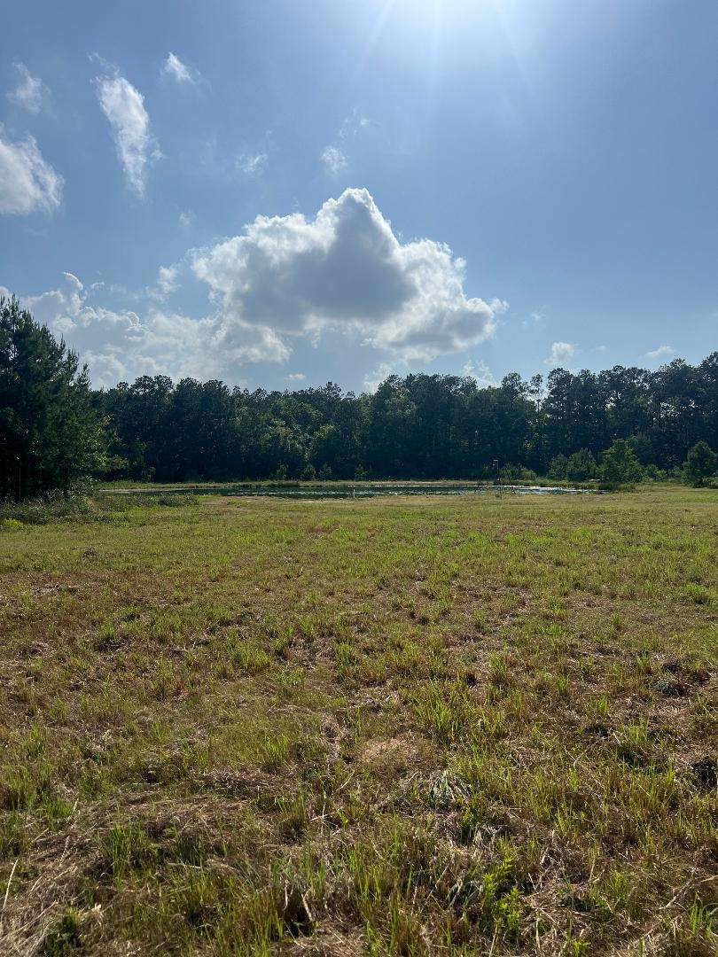 24980 Blackburn Dr - Photo 1
