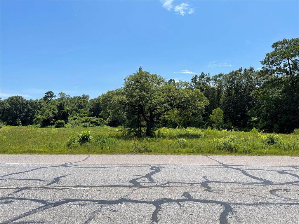 23100 Fm 1314 Road - Photo 1