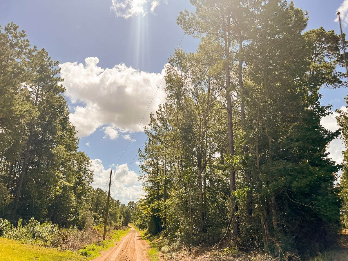 https://bt-photos.global.ssl.fastly.net/harmls/orig_boomver_1_5209053-2.jpg
