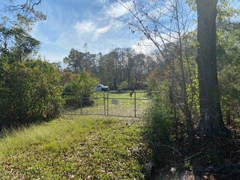 20310 Canterbury Rd Road - Photo 1