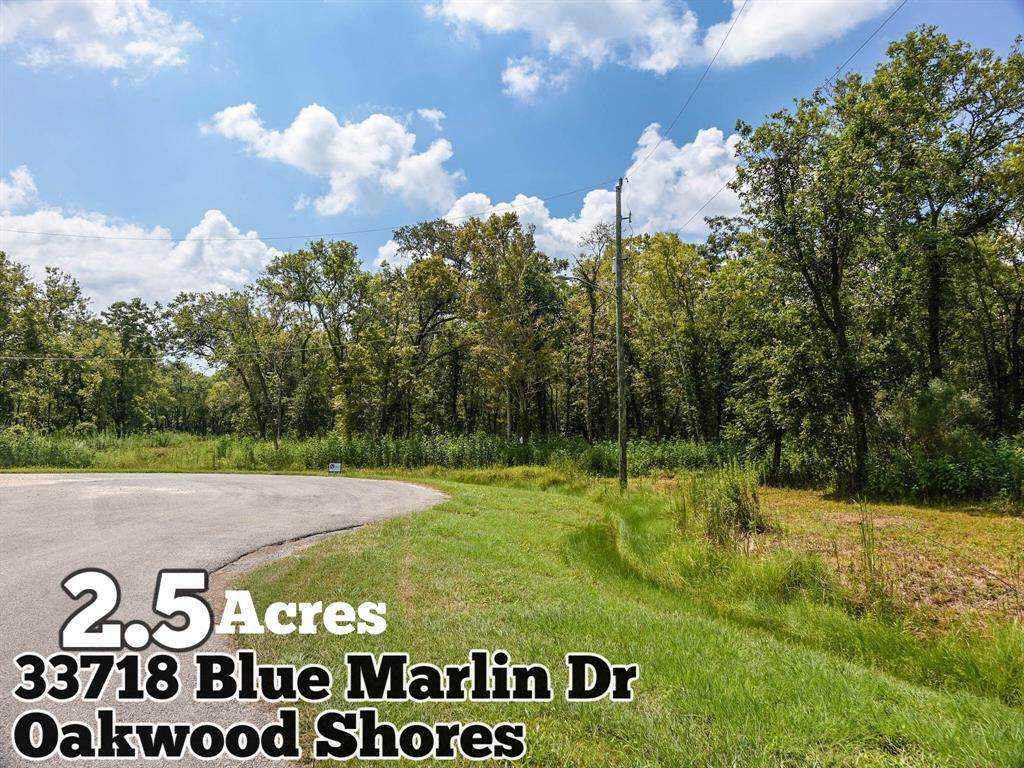 33718 Blue Marlin Drive - Photo 1