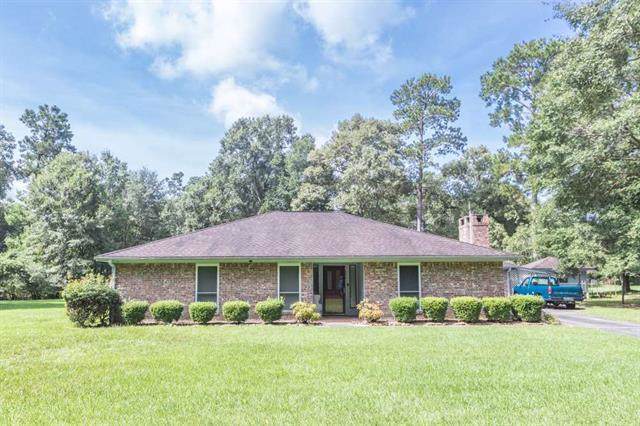 806 Camphor - Photo 1
