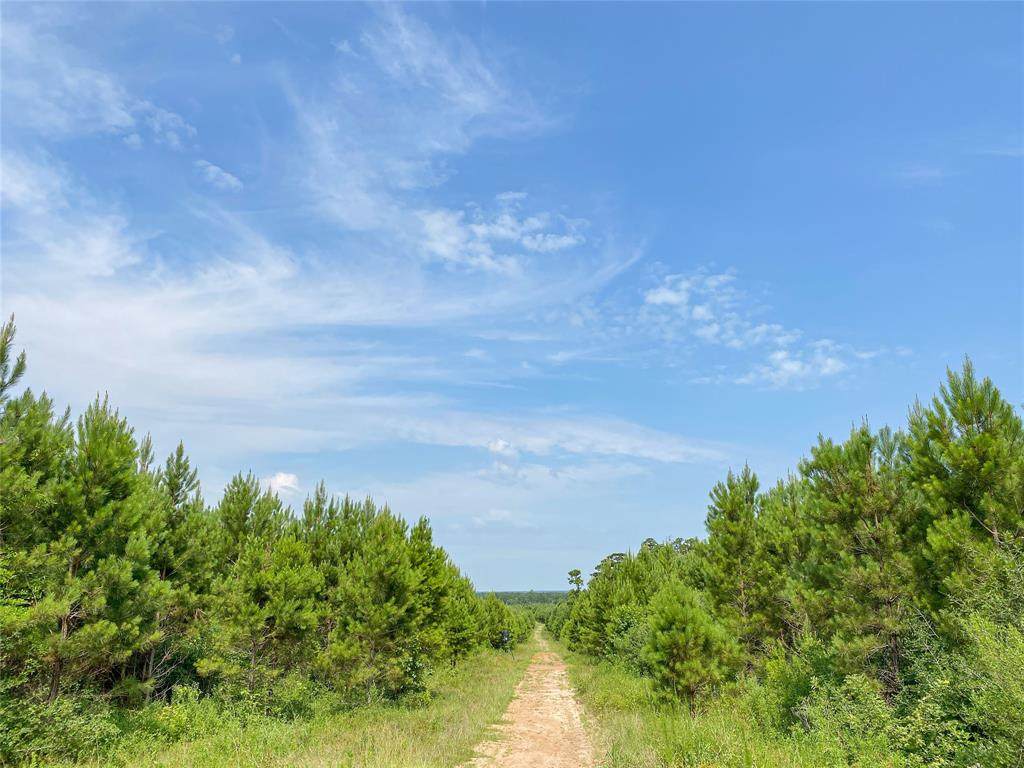 0000000 Red Hollow Road - Photo 1
