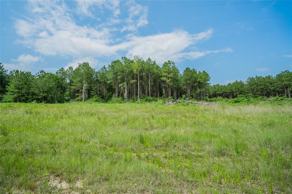 TBD Round Prairie - Photo 1