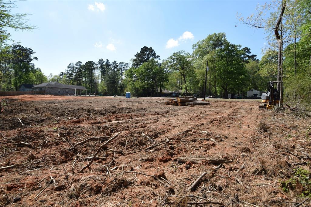 805 Crystal River - Photo 1