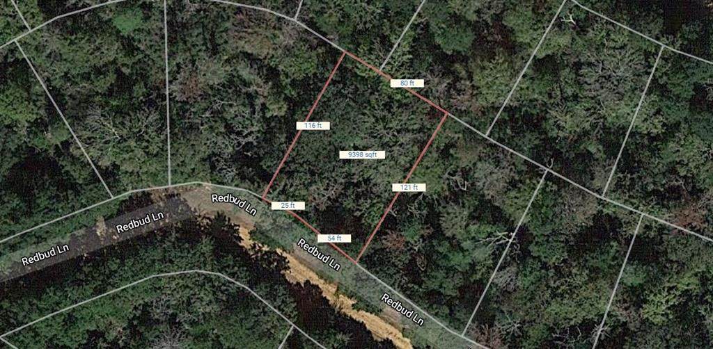 Lot 16 Redbud Lane - Photo 1