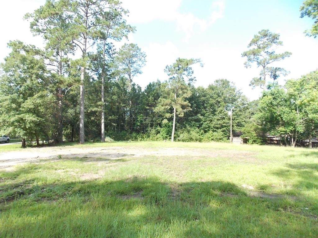 11225 Pine Cove Street - Photo 1