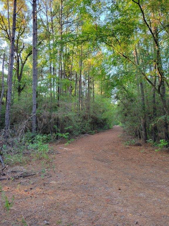 TBD Honeylocust Lane - Photo 1