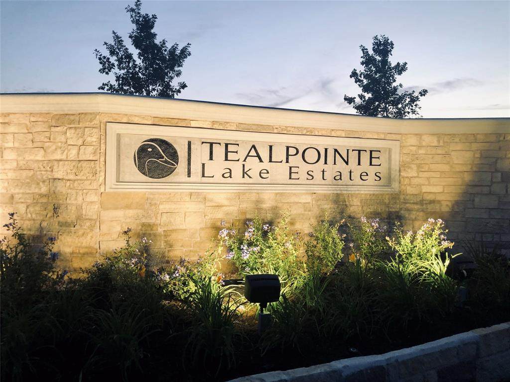 20402 Tealpointe Ridge Lane - Photo 1