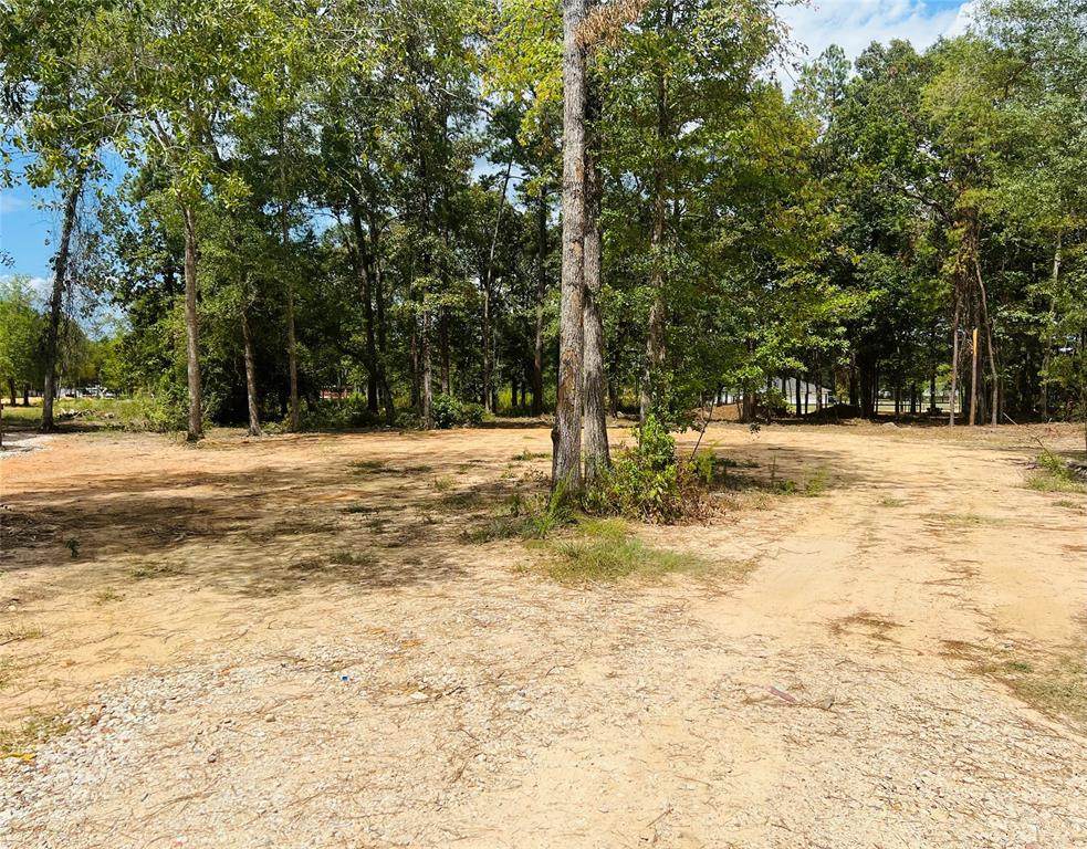16355 Crockett Martin Estates Dr - Photo 1