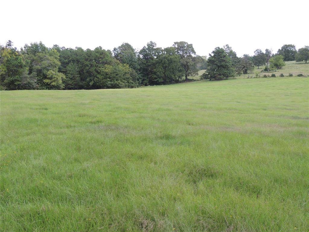 TBD Cr 2290 - Photo 1