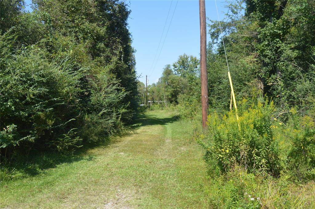 1155 County Road 2271 - Photo 1