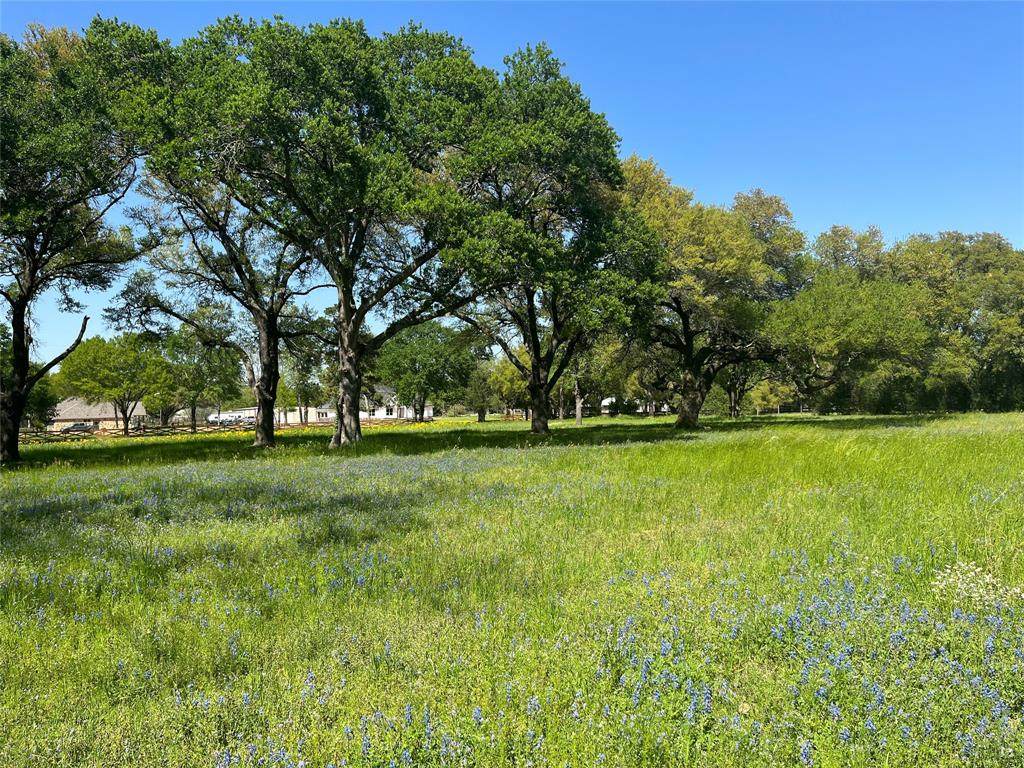 21106 Rosehill Church Road - Photo 1