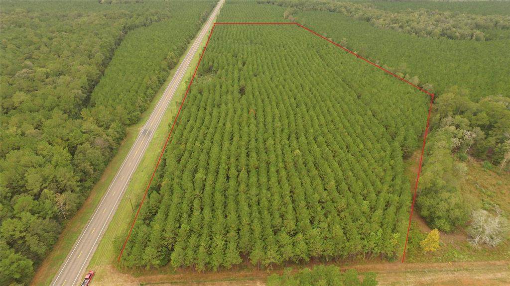 TBD Fm 943 Road - Photo 1