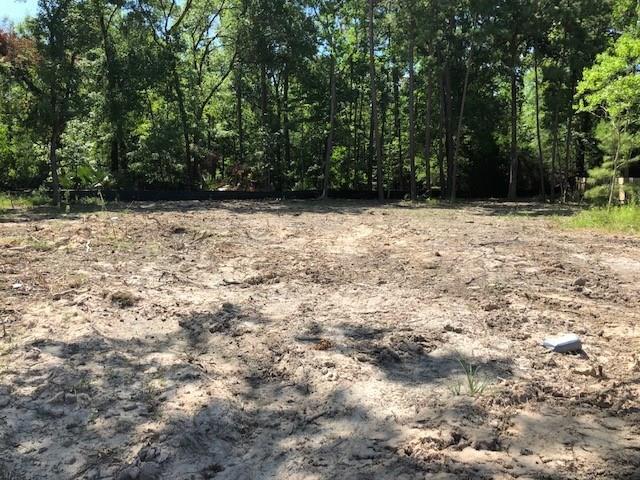 1035 Carson Drive - Photo 1