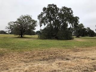 250 Pony Trail - Photo 1