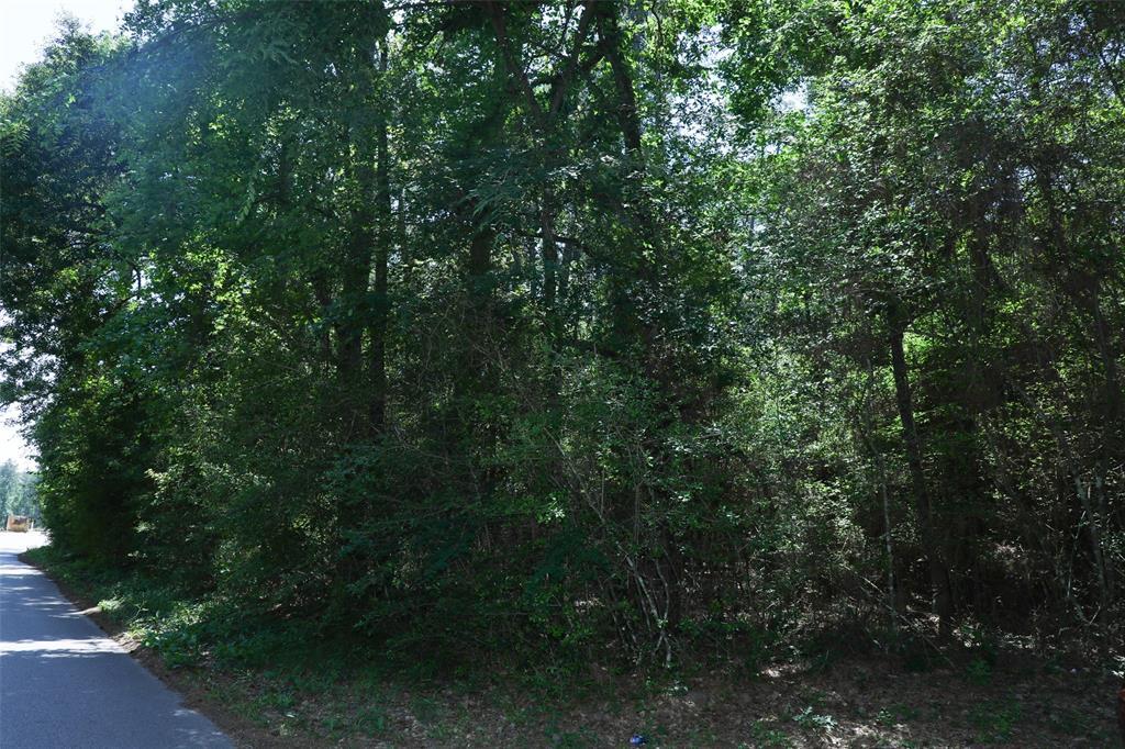 0 Caddo - Photo 1