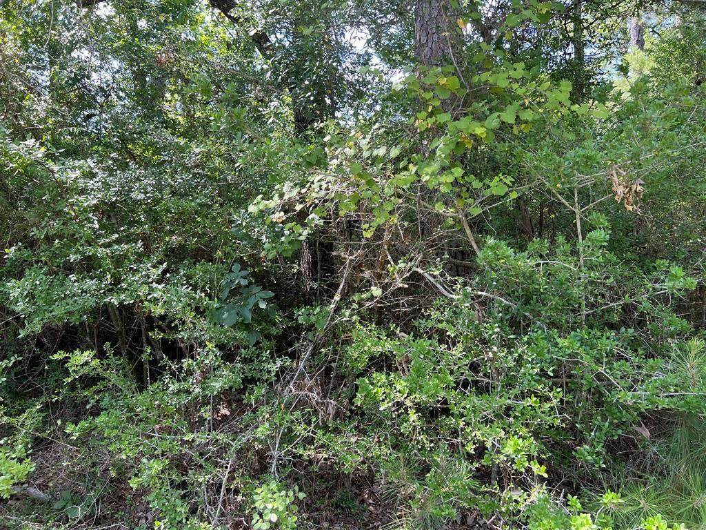 Lot 23 Live Oak Drive - Photo 1