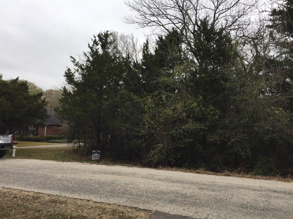 741 Briarwood - Photo 1