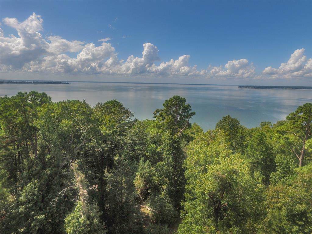 Lot 48 Cedar Lane Lane - Photo 1