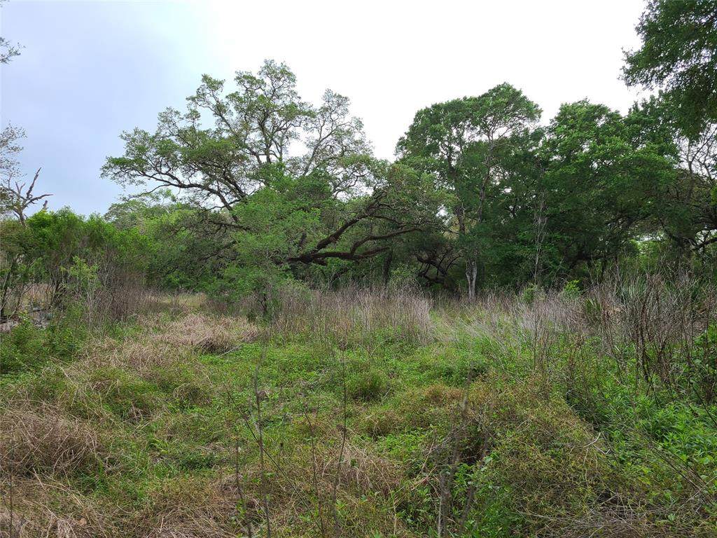 800 County Road 282 - Photo 1