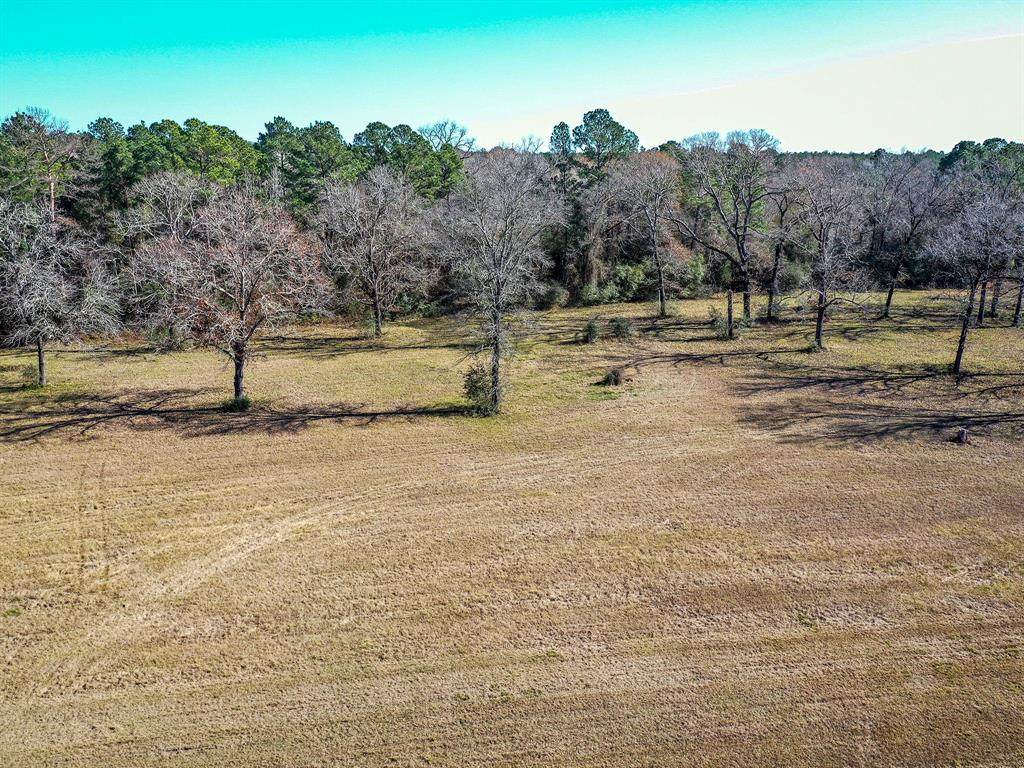 Lot 7 Tara - Photo 1