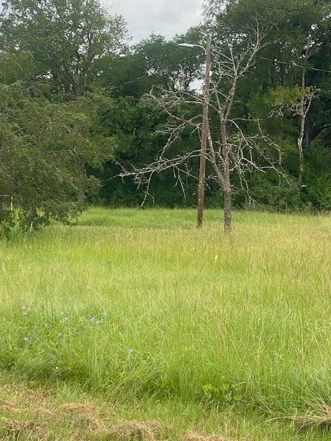 3284 County Road 117 - Photo 1