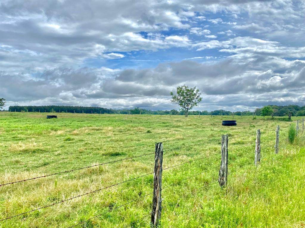 TBD County Road 4025 - Photo 1
