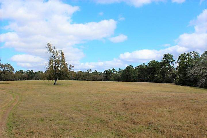3942 County Road 227 Ends Gate - Photo 1