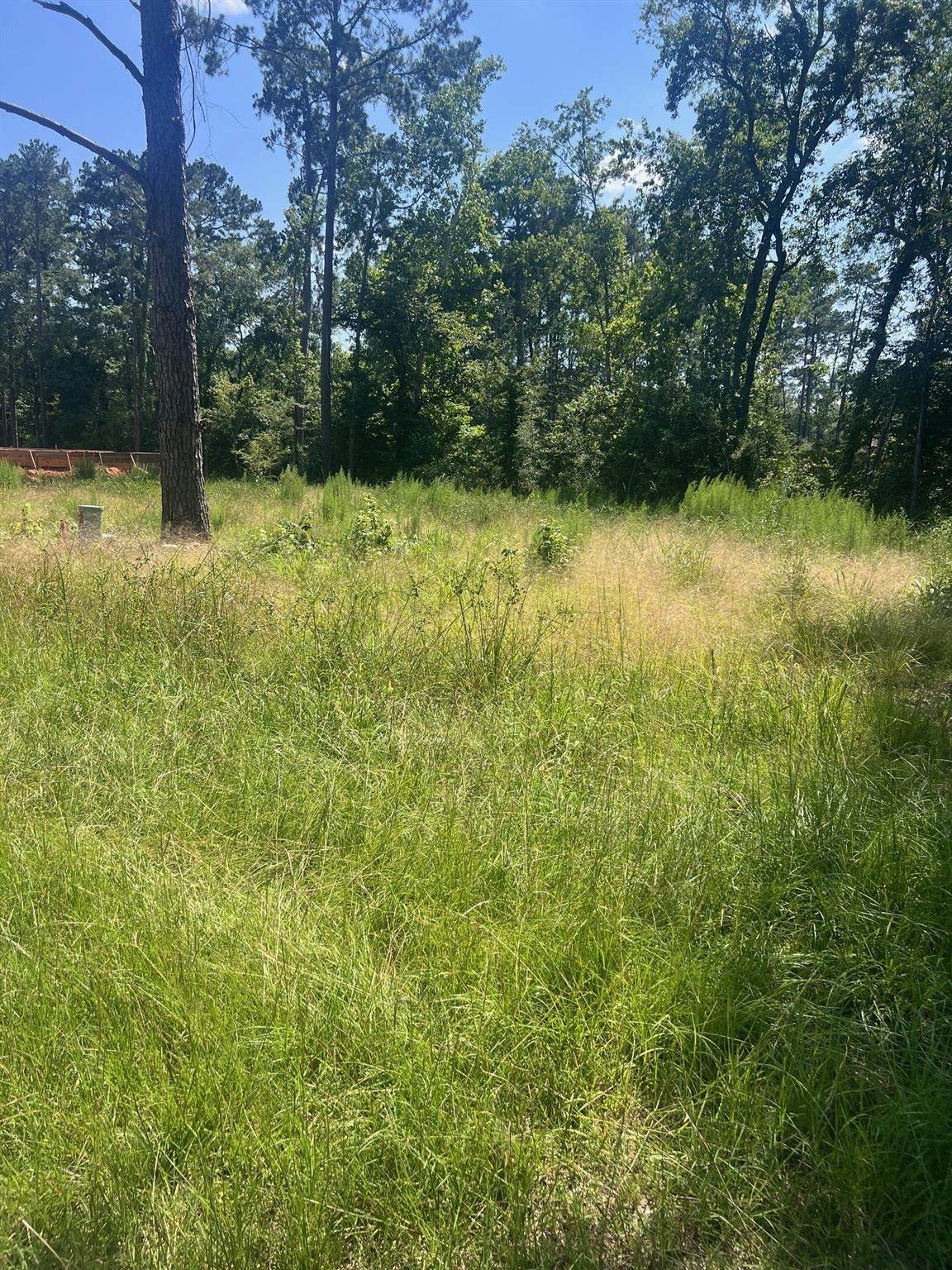 1981 La Salle Park Drive - Photo 1