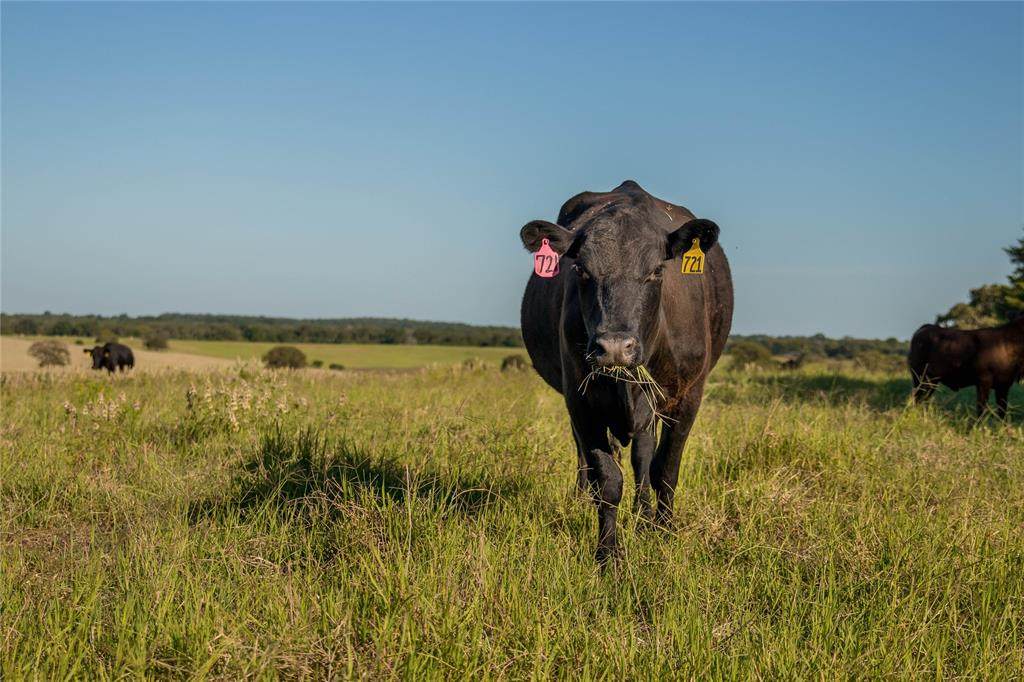 TBD (+/-210.7 AC) County Road 361 - Photo 1