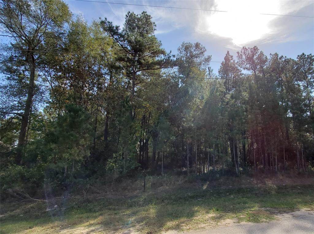 19692 Desna Drive - Photo 1