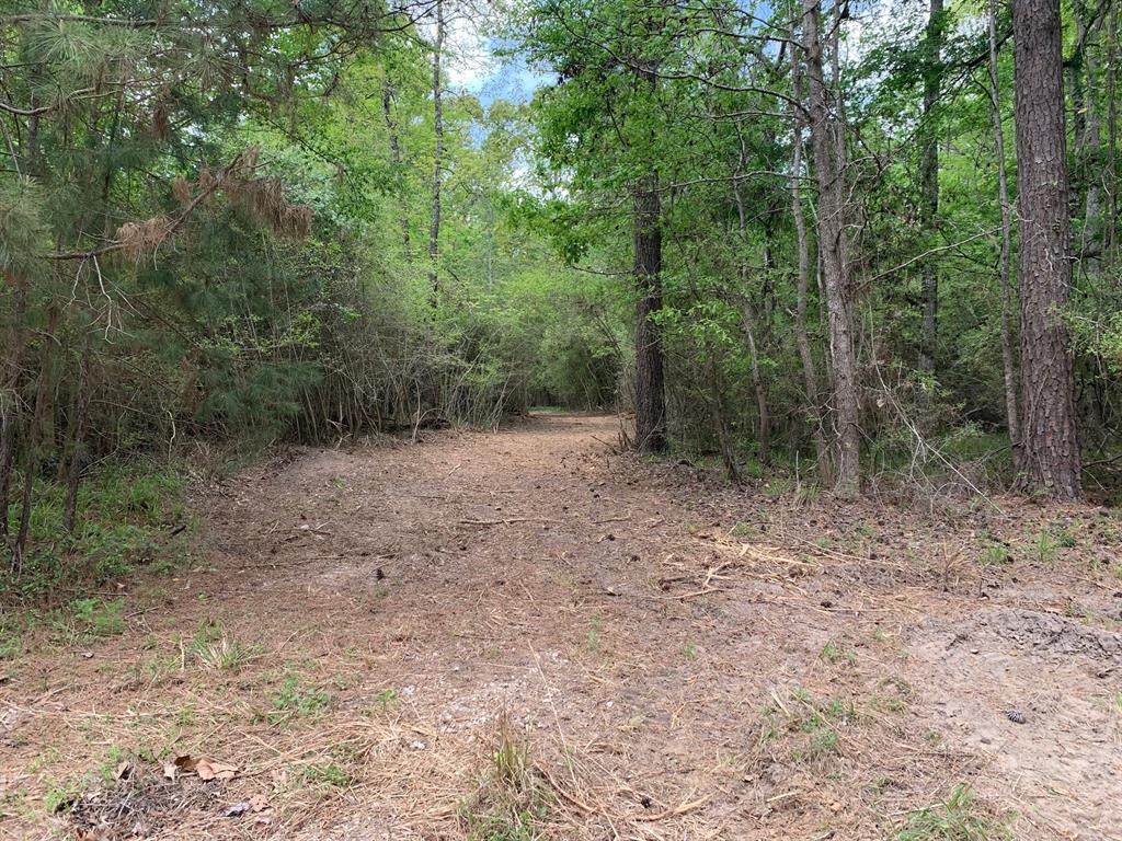 TBD Barretts Landing Road - Photo 1