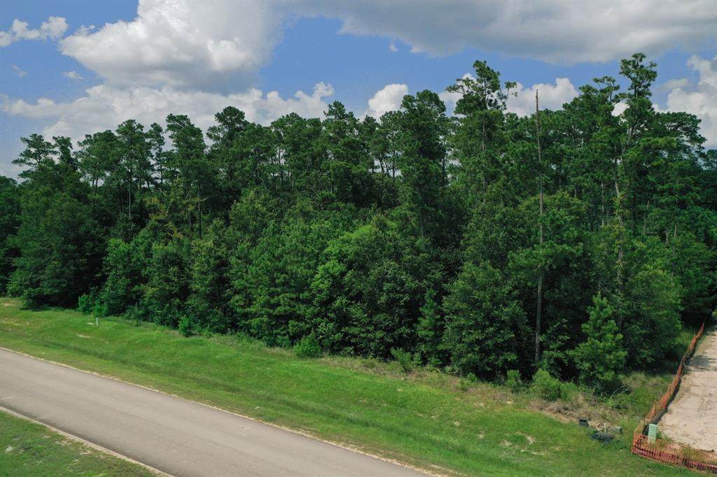 27578 Lazy Meadow Way - Photo 1