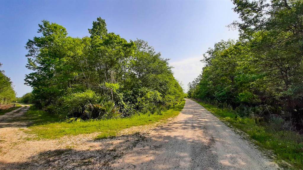 000 Easement Off Gates Road - Photo 1