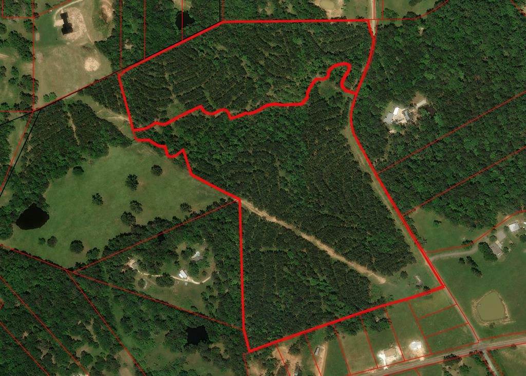 Tract 129/130 Fenley Flat Road - Photo 1