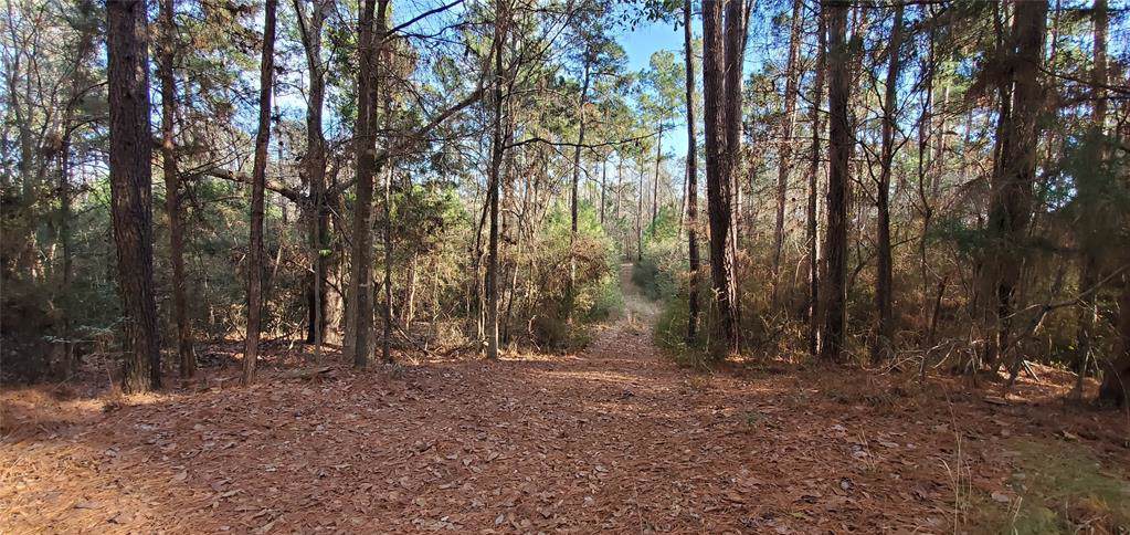00 County Road 4140 - Photo 1