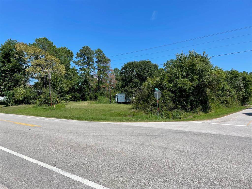 24986 Bailey Grove - Photo 1