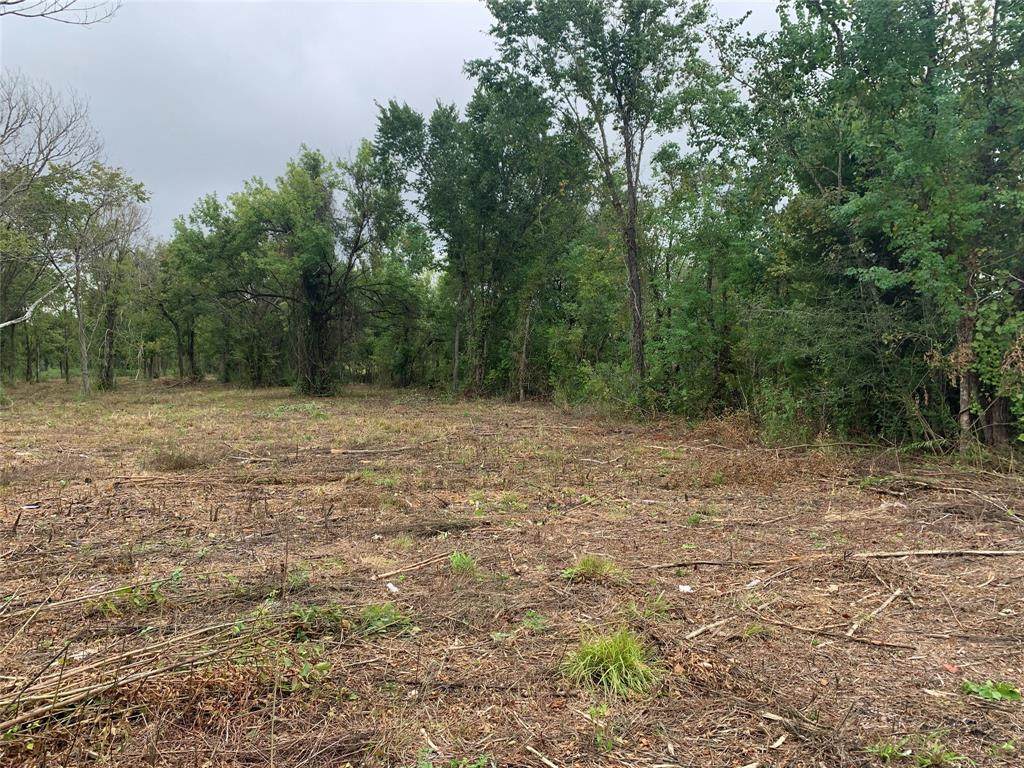 2303 Battlebell Road - Photo 1