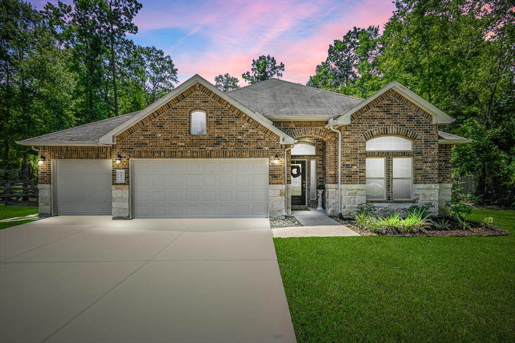 9123 Silver Back Trail - Photo 1