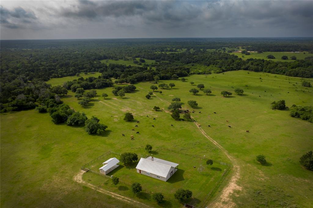 000 County Road 215 - Photo 1