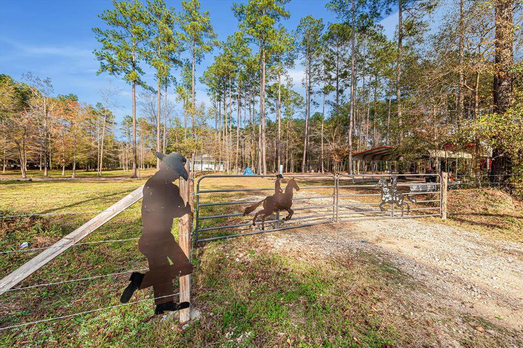 320 Boys Camp Road - Photo 1