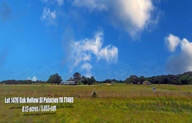 Lot 1476 Oak Hollow Street - Photo 1