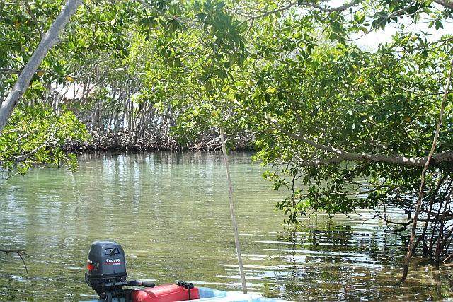 1 1 Acre Island in Belize - Photo 1