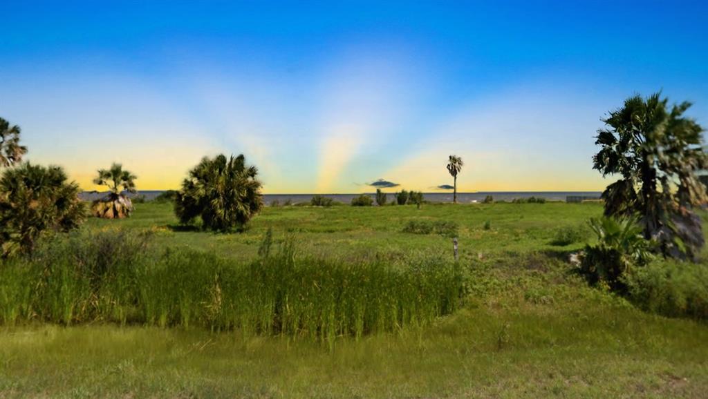 1538 Hwy 87 - Photo 1