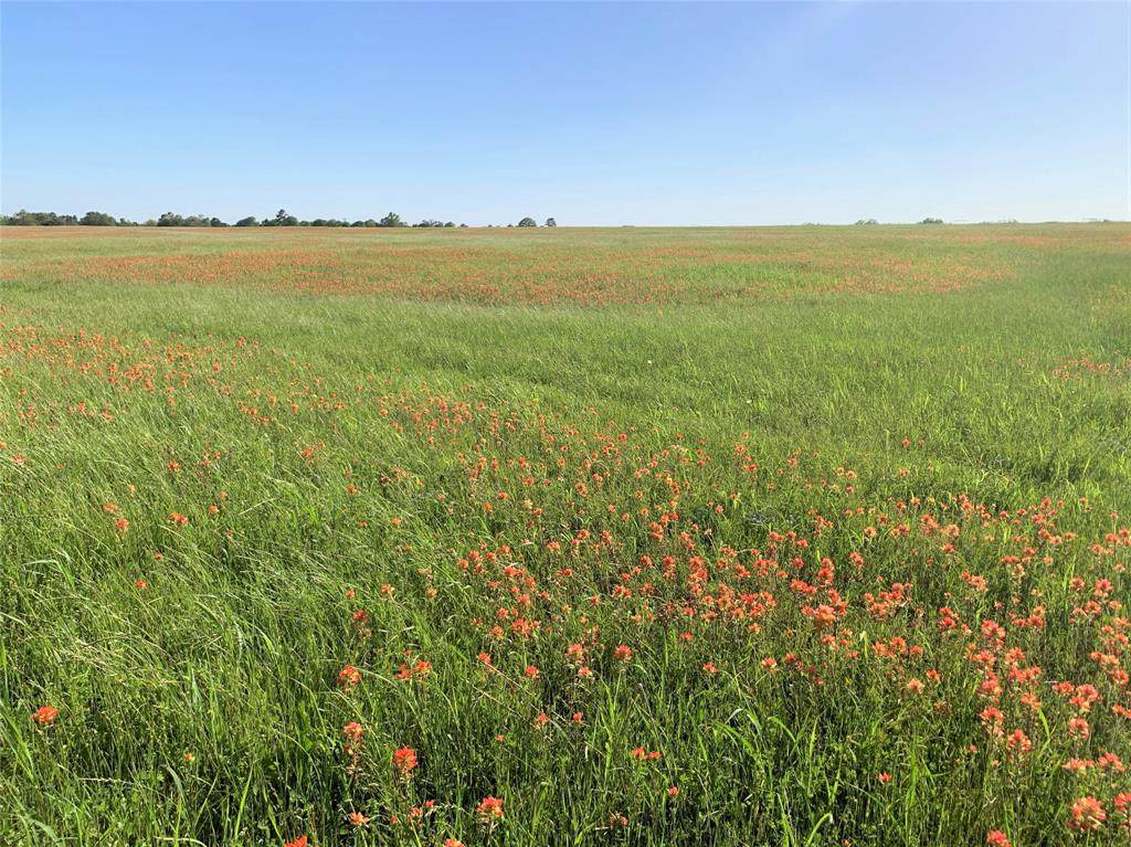 20.25 County Road 215 - Photo 1