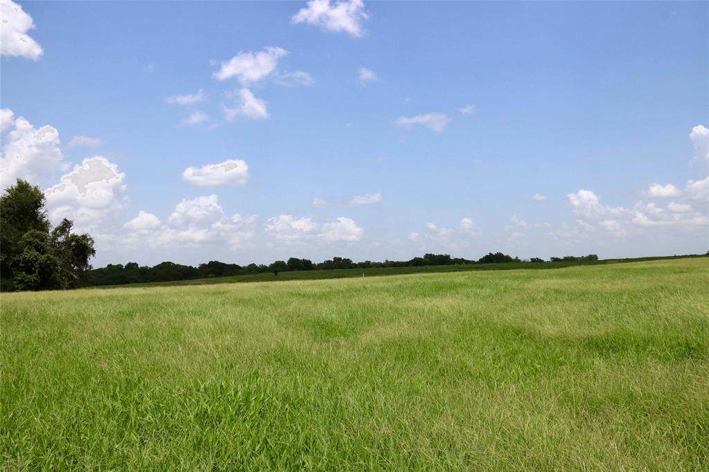 Lot 6 Reagans Way - Photo 1