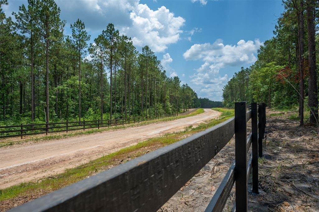 Tract 7B Timberland Branch Dr - Photo 1